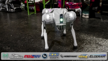 ETS-Round-5-18-Wiener-Neustadt-AT-Party-107-von-199