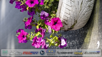 ETS-Round-1-18-Apeldoorn-Saturday-Part-1-157