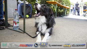ETS-Round-3-18-Luxemburg-Saturday-Part-2-111