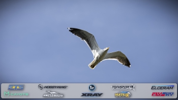 ETS-Round-1-19-Apeldoorn-NL-Thursday-Part-4-233