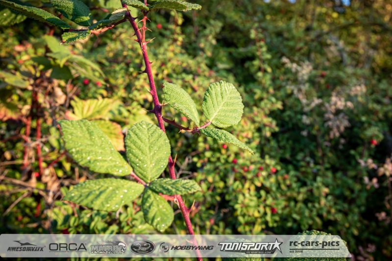 1_Thursday-Practice-RD4-S15-Luxemburg-LUX-20